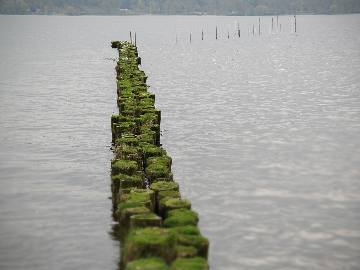 Tollensesee