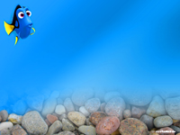 Dori_x
