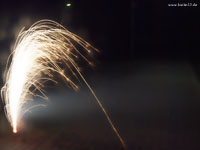 Silvester_Boden_x