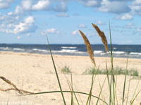 Strand_Trassenheide_x