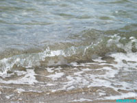 Welle_x