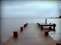a_Steg_Zerpentin-polaroid_x