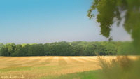 Feld-Hohenmin_x