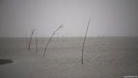 Priel-Dorum-wide_x