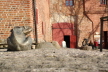 Hexenmuseum