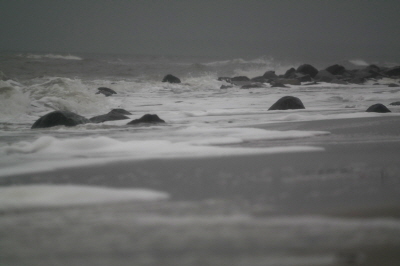 Januarsee